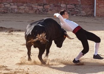 Landete celebra un histórico concurso de recortadores organizado por Arte y Emoción