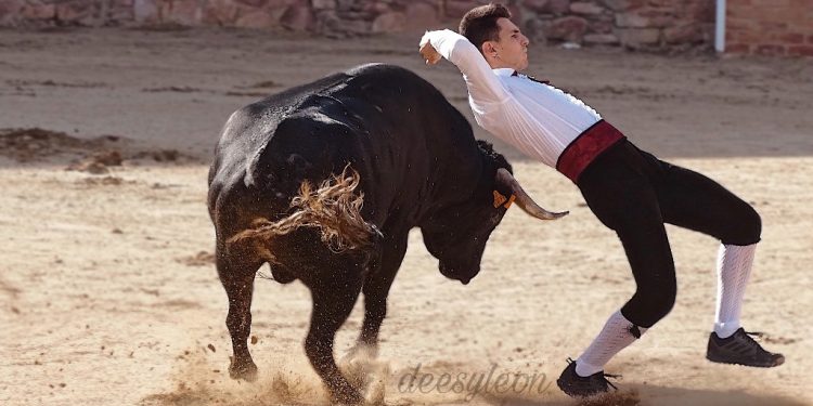 Landete celebra un histórico concurso de recortadores organizado por Arte y Emoción