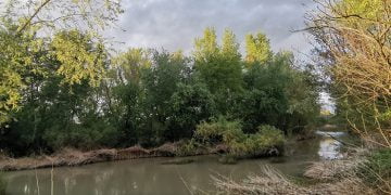río Henares