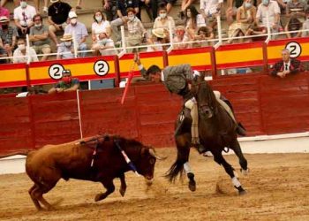 Víctor Hernández, gran triunfador de la novillada mixta picada de Sigüenza