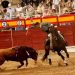 Víctor Hernández, gran triunfador de la novillada mixta picada de Sigüenza 3 Víctor Hernández, gran triunfador de la novillada mixta picada de Sigüenza