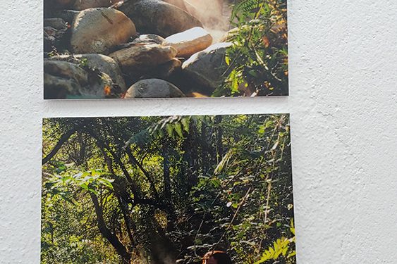 Yolanda Rozalén. La idea es llevar Despiertas a cualquier pueblo de la provincia