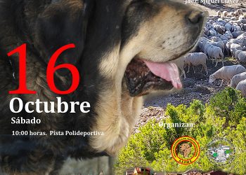 Jábaga anuncia su VII Concurso de Mastín Español Jábaga anuncia su VII Concurso de Mastín Español