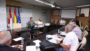 Castilla-La Mancha va a seguir demandando una convergencia del 100% en la nueva PAC porque el 85% propuesto es “insuficiente”