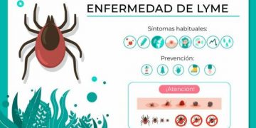 Compromís pide al Gobierno más medidas para la creciente enfermedad de Lyme causada por las garrapatas