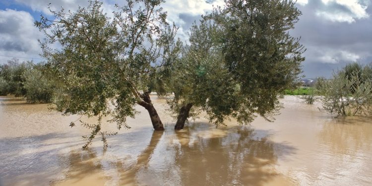Fundación Eurocaja Rural organizará un gran encuentro sobre cambio climático, con iniciativas en la prevención de fenómenos extremos
