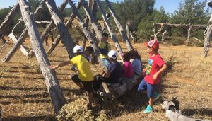 El Gobierno regional pone en marcha una nueva edición del programa ´Desconecta la tele, conecta con la naturaleza´ en la provincia de Cuenca