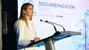 El Observatorio de Descarbonización Rural desvela que el 0,5% de los hogares rurales de Castilla-La Mancha practica el autoconsumo