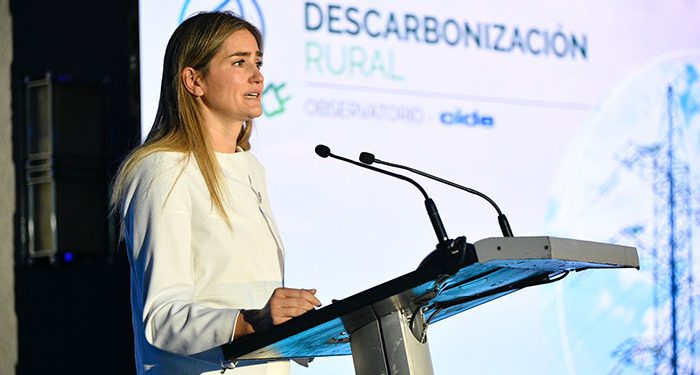 El Observatorio de Descarbonización Rural desvela que el 0,5% de los hogares rurales de Castilla-La Mancha practica el autoconsumo