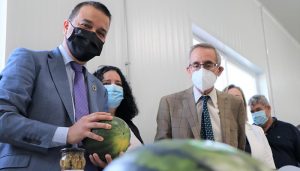 El próximo lunes se publica la orden de ayuda de 18 millones de euros del Gobierno regional para paliar los daños en el olivar afectado por Filomena