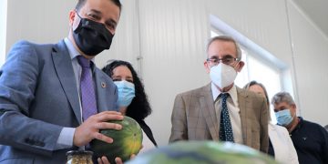 El próximo lunes se publica la orden de ayuda de 18 millones de euros del Gobierno regional para paliar los daños en el olivar afectado por Filomena