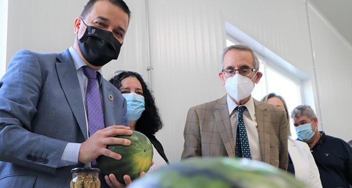 El próximo lunes se publica la orden de ayuda de 18 millones de euros del Gobierno regional para paliar los daños en el olivar afectado por Filomena