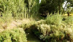 El Valle del Río Cañamares el gran desconocido