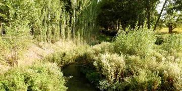 El Valle del Río Cañamares el gran desconocido