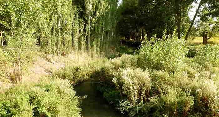 El Valle del Río Cañamares: el gran desconocido 1 El Valle del Río Cañamares el gran desconocido