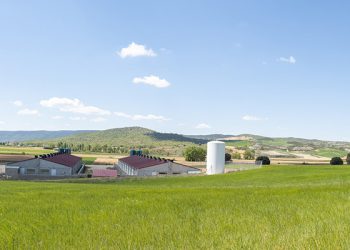 Incarlopsa refuerza su compromiso con el bienestar animal: el 100% de sus proveedores de capa blanca cuenta con una certificación independiente 1 Granja porcina