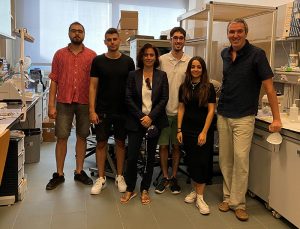 Investigadores de la UCLM desvelan un mecanismo neuronal de control del aprendizaje y la memoria reciente