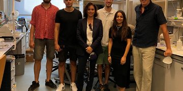 Investigadores de la UCLM desvelan un mecanismo neuronal de control del aprendizaje y la memoria reciente