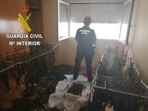 La Guardia Civil desmantela dos plantaciones de marihuana en Chiloeches y en Fuentenovilla