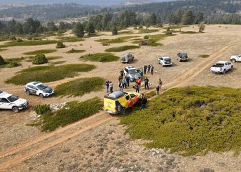 Localizada una vecina de Checa de 82 años de edad que se extravió buscando setas 3 Localizada una vecina de Checa de 82 años de edad que se extravió buscando setas