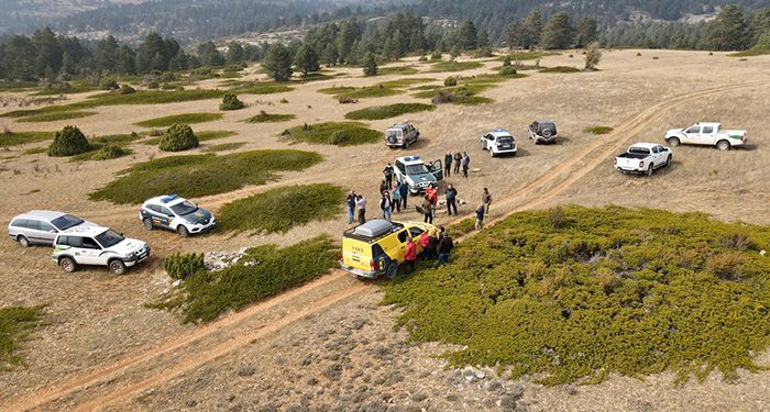 Localizada una vecina de Checa de 82 años de edad que se extravió buscando setas 1 Localizada una vecina de Checa de 82 años de edad que se extravió buscando setas
