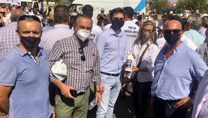 Merino exige a Page y Sánchez que tomen  medidas “urgentes” y apliquen la Ley de la Cadena Alimentaria para proteger a los ganaderos de vacuno de leche