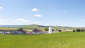 UCLM, ASAJA, ICPOR e ITAP impulsan la innovación en la gestión del estiércol líquido de porcino