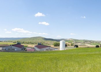 UCLM, ASAJA, ICPOR e ITAP impulsan la innovación en la gestión del estiércol líquido de porcino 4 UCLM, ASAJA, ICPOR e ITAP impulsan la innovación en la gestión del estiércol líquido de porcino