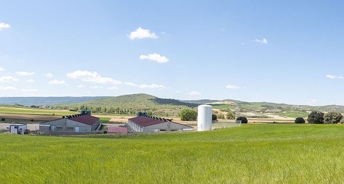 UCLM, ASAJA, ICPOR e ITAP impulsan la innovación en la gestión del estiércol líquido de porcino