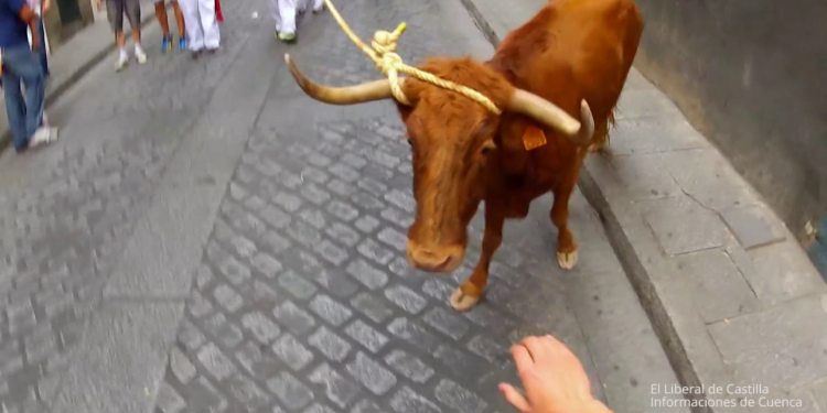 Vídeo. San Mateo 2010