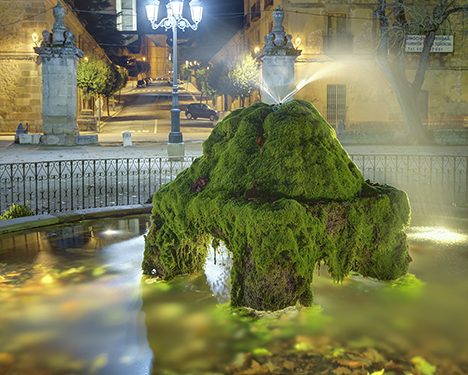 A licitación la remodelación del Parque de la Alameda de Sigüenza por cerca de dos millones de euros 1 A licitación la remodelación del Parque de la Alameda de Sigüenza por cerca de dos millones de euros