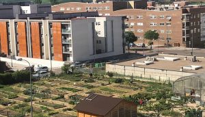 Abierto el plazo de la convocatoria de uso de los Huertos Sociales de Cuenca
