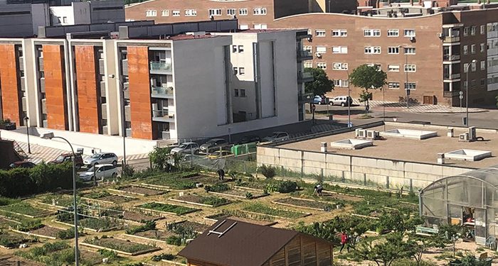 Abierto el plazo de la convocatoria de uso de los Huertos Sociales de Cuenca