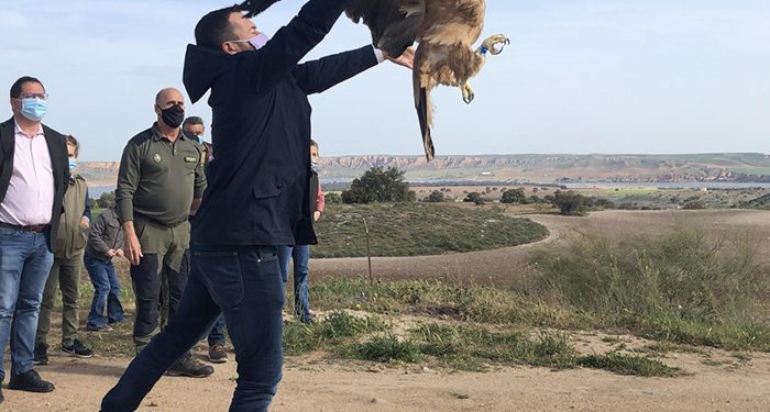 Actividades en el Barranco del Río Dulce y en la Laguna de Uña con motivo del Día Mundial de las Aves y las Aves Migratorias 1 Actividades en el Barranco del Río Dulce y en la Laguna de Uña con motivo del Día Mundial de las Aves y las Aves Migratorias