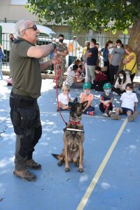 Cerca de 4000 personas visitaron la Feria Cinegética en San Clemente donde se entregaron más de 130 premios