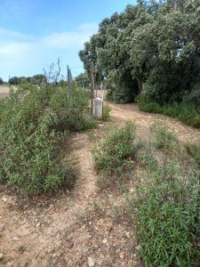 Ecologistas en Acción alerta de que el Ayuntamiento de Cabanillas del Campo vende un camino vecinal por 0,15 € el metro cuadrado