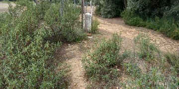 Ecologistas en Acción alerta de que el Ayuntamiento de Cabanillas del Campo vende un camino vecinal por 0,15 € el metro cuadrado
