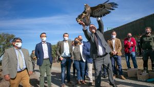 El Gobierno de Castilla-La Mancha presenta el nuevo Plan regional que integrará sus once Centros de Recuperación de Fauna Silvestre