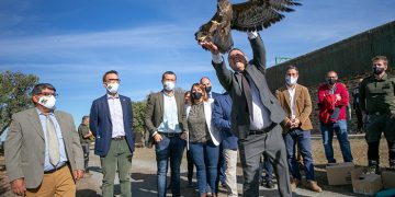 El Gobierno de Castilla-La Mancha presenta el nuevo Plan regional que integrará sus once Centros de Recuperación de Fauna Silvestre