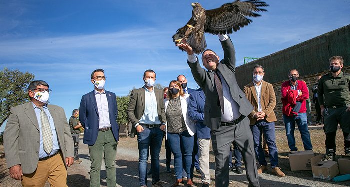 El Gobierno de Castilla-La Mancha presenta el nuevo Plan regional que integrará sus once Centros de Recuperación de Fauna Silvestre