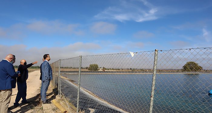 El Gobierno regional fomenta la agricultura social con ayudas de más de 43 millones de euros para modernizar el regadío de 59 comunidades de regantes 1 El Gobierno regional fomenta la agricultura social con ayudas de más de 43 millones de euros para modernizar el regadío de 59 comunidades de regantes