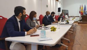 El PP del Ayuntamiento de Guadalajara muestra su solidaridad con La Palma y anima a comprar plátanos de Canarias