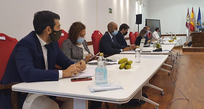 El PP del Ayuntamiento de Guadalajara muestra su solidaridad con La Palma y anima a comprar plátanos de Canarias