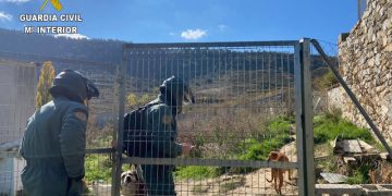 El Seprona localiza 15 perros en Poveda de la Sierra en condiciones higiénico sanitarias muy deficientes