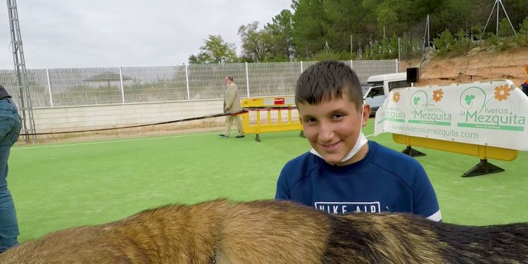 Jábaga. 48 mastines se dan cita en su VII Campeonato