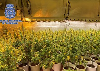La Policía Nacional desmantela en Cabanillas del Campo una sofisticada plantación de marihuana dotada de gran capacidad de producción