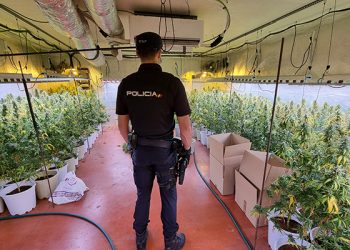La Policía Nacional desmantela una nueva plantación “indoor” de marihuana en una nave industrial de Fontanar