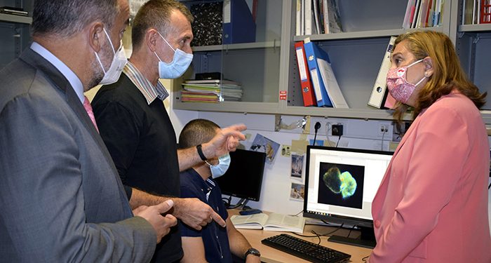 Los Premios de Investigación e Innovación de Castilla-La Mancha reanudarán sus convocatorias