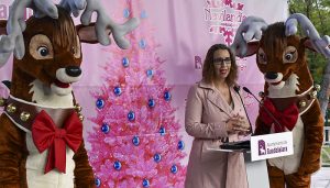 Nace ‘Navilandia’  un gran parque temático de 1,5 kilómetros con el que Guadalajara “será la capital de la Navidad en Castilla-La Mancha”