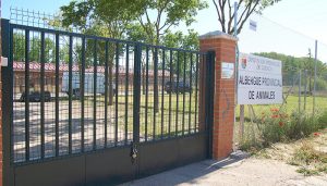 CSIF lamenta la rescisión del contrato de la adjudicataria de la gestión del albergue de animales de Cuenca
